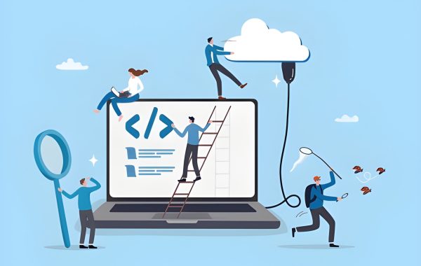 software development